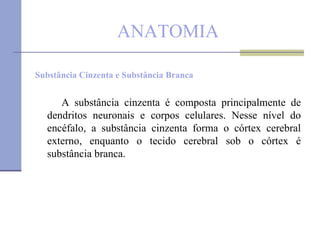 ANATOMIA Substância Cinzenta e Substância Branca A substância cinzenta é composta principalmente de dendritos neuronais e corpos celulares. Nesse nível do encéfalo, a substância cinzenta forma o córtex cerebral externo, enquanto o tecido cerebral sob o córtex é substância branca.  