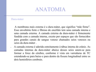 ANATOMIA Dura-máter A membrana mais externa é a dura-máter, que significa “mãe firme”. Esse envoltório forte e fibroso do encéfalo tem uma camada interna e uma camada externa. A camada externa da dura-máter é firmemente fundida com a camada interna, exceto por espaços que são fornecidos para grandes canais de sangue venoso chamados seios venosos ou seios da dura-máter . .  A camada externa é aderida estreitamente à tábua interna do crânio. As camadas internas da dura-máter abaixo desses seios unem-se para formar a foice do cérebro, conforme é vista em varreduras de TC estendendo-se para baixo e para dentro da fissura longitudinal entre os dois hemisférios cerebrais.  