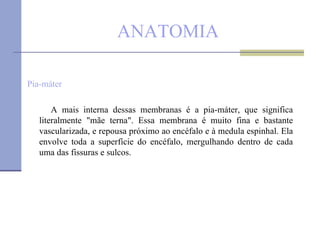 ANATOMIA Pia-máter A mais interna dessas membranas é a pia-máter, que significa literalmente "mãe terna". Essa membrana é muito fina e bastante vascularizada, e repousa próximo ao encéfalo e à medula espinhal. Ela envolve toda a superfície do encéfalo, mergulhando dentro de cada uma das fissuras e sulcos. 