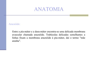 ANATOMIA Aracnóide:  Entre a pia-máter e a dura-máter encontra-se uma delicada membrana avascular chamada aracnóide. Trabéculas delicadas semelhantes a linhas fixam a membrana aracnóide à pia-máter, daí o termo "mãe aranha". 