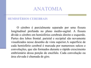 ANATOMIA HEMISFÉRIOS CEREBRAIS O cérebro é parcialmente separado por uma fissura longitudinal profunda no plano medio-sagital. A fissura divide o cérebro em hemisférios cerebrais direito e esquerdo. Partes dos lobos frontal. parietal e occipital são novamente visualizados nesse desenho de vista superior.A superfície de cada hemisfério cerebral é marcada por numerosos sulcos e convoluções, que são formados durante o rápido crescimento embrionário dessa porção do encéfalo. Cada convolução ou área elevada é chamada de giro.  