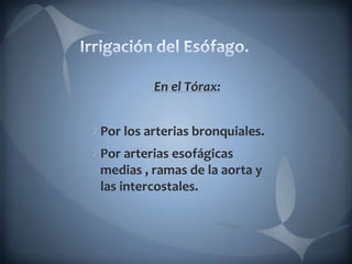 Irrigación del Esófago. En el Tórax:Por los arterias bronquiales.Por arterias esofágicas medias , ramas de la aortay las intercostales. 