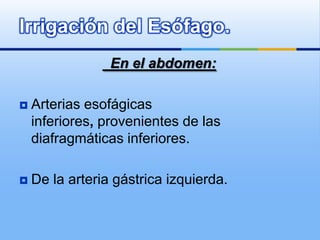   En el abdomen: Arterias esofágicas inferiores, provenientes de las diafragmáticas inferiores. De la arteria gástrica izquierda.Irrigación del Esófago.