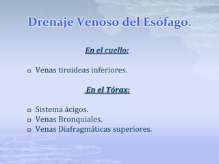 Drenaje Venoso del Esófago.En el cuello:Venas tiroideas inferiores. En el Tórax:Sistema ácigos.Venas Bronquiales.Venas Diafragmáticas superiores.