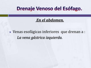 Drenaje Venoso del Esófago. En el abdomen.Venas esofágicas inferiores que drenan a :La vena gástrica izquierda.