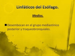Linfáticos del Esófago.Medios.Desembocan en el grupo mediastínico posterior y traqueobronquiales.