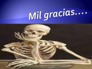 Mil gracias….