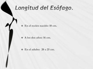  Longitud del Esófago.En el recién nacido: 10 cm.A los dos años: 16 cm.En el adulto:  20 a 25 cm.