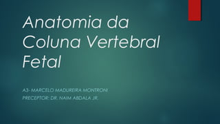 Anatomia da
Coluna Vertebral
Fetal
A3- MARCELO MADUREIRA MONTRONI
PRECEPTOR: DR. NAIM ABDALA JR.
 