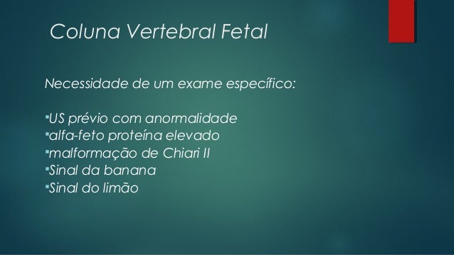 Anatomia e ultrassom da coluna vertebral fetal Anatomia e ultrassom da coluna vertebral fetal