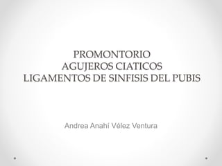 PROMONTORIO
AGUJEROS CIATICOS
LIGAMENTOS DE SINFISIS DEL PUBIS
Andrea Anahí Vélez Ventura
 