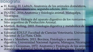 Anatomia expo | PPTX