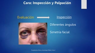 anatomia facial.pptx