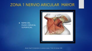 ZONA 1 NERVIO ARICULAR MAYOR
 RAMA DEL
PLEXO CERVICAL
SUPERFICIAL.
Gloster, Hugs M. Complications in cutaneous surgery. 1...