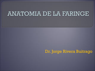 Dr. Jorge Rivera Buitrago
 