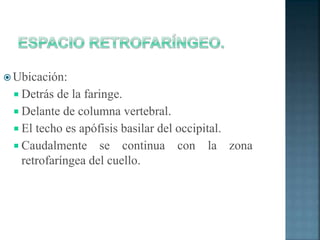  Ubicación:
 Detrás de la faringe.
 Delante de columna vertebral.
 El techo es apófisis basilar del occipital.
 Caudalmente se continua con la zona
retrofaríngea del cuello.
 