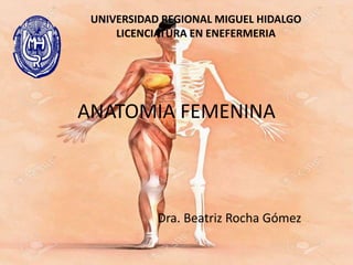 ANATOMIA FEMENINA
Dra. Beatriz Rocha Gómez
UNIVERSIDAD REGIONAL MIGUEL HIDALGO
LICENCIATURA EN ENEFERMERIA
 