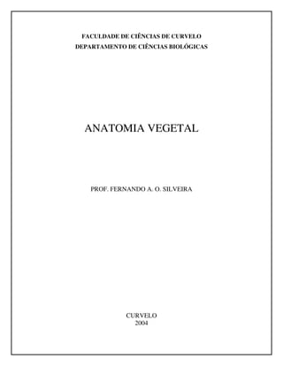 FACULDADE DE CIÊNCIAS DE CURVELO
DEPARTAMENTO DE CIÊNCIAS BIOLÓGICAS
ANATOMIA VEGETAL
PROF. FERNANDO A. O. SILVEIRA
CURVELO
2004
 
