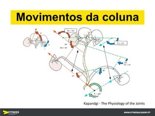 Movimentos da coluna
Kapandgi - The Physiology of the Joints
 