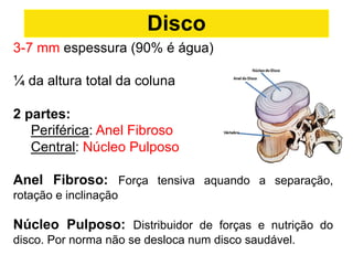 3-7 mm espessura (90% é água)
¼ da altura total da coluna
2 partes:
Periférica: Anel Fibroso
Central: Núcleo Pulposo
Anel Fibroso: Força tensiva aquando a separação,
rotação e inclinação
Núcleo Pulposo: Distribuidor de forças e nutrição do
disco. Por norma não se desloca num disco saudável.
Disco
 