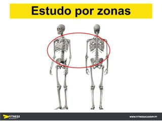 Estudo por zonas
 