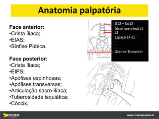 Face anterior:
•Crista íliaca;
•EIAS;
•Sínfise Púbica.
Face posterior:
•Crista íliaca;
•EIPS;
•Apófises espinhosas;
•Apófises transversas;
•Articulação sacro-ilíaca;
•Tuberosidade isquiática;
•Cóccix.
Anatomia palpatória
D12 – Co12
Disco vertebral L2
L3
Espaço L4-L5
Grande Trocanter
 