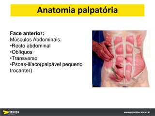 Face anterior:
Músculos Abdominais:
•Recto abdominal
•Oblíquos
•Transverso
•Psoas-ilíaco(palpável pequeno
trocanter)
Anatomia palpatória
 