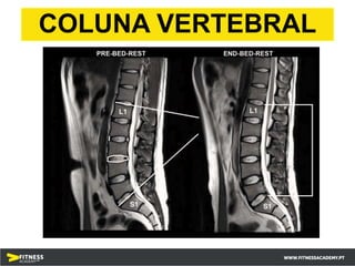 COLUNA VERTEBRAL
 