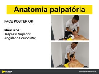 Anatomia palpatória
FACE POSTERIOR
Músculos:
Trapézio Superior
Angular da omoplata;
 