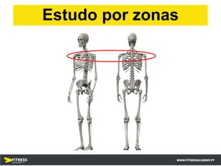 Estudo por zonas
 