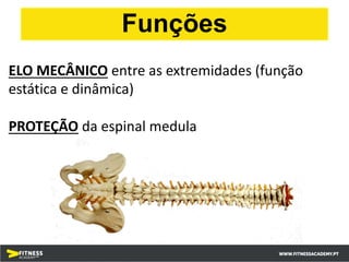 ELO MECÂNICO entre as extremidades (função
estática e dinâmica)
PROTEÇÃO da espinal medula
Funções
 