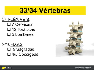 24 FLÉXIVEIS:
q 7 Cervicais
q 12 Torácicas
q 5 Lombares
9/10FIXAS:
q 5 Sagradas
q 4/5 Coccígeas
33/34 Vértebras
 