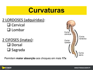 Permitem maior absorção aos choques em mais 17x
2 LORDOSES (adquiridas):
q Cervical
q Lombar
2 CIFOSES (inatas):
q Dorsal
q Sagrada
Curvaturas
 