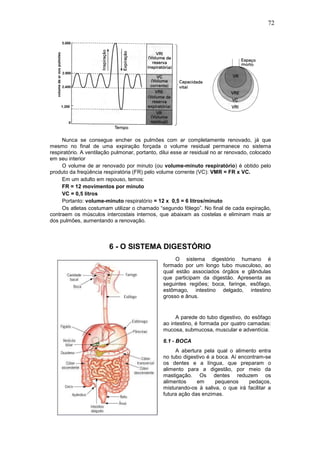 72
Nunca se consegue encher os pulmões com ar completamente renovado, já que
mesmo no final de uma expiração forçada o volume residual permanece no sistema
respiratório. A ventilação pulmonar, portanto, dilui esse ar residual no ar renovado, colocado
em seu interior
O volume de ar renovado por minuto (ou volume-minuto respiratório) é obtido pelo
produto da freqüência respiratória (FR) pelo volume corrente (VC): VMR = FR x VC.
Em um adulto em repouso, temos:
FR = 12 movimentos por minuto
VC = 0,5 litros
Portanto: volume-minuto respiratório = 12 x 0,5 = 6 litros/minuto
Os atletas costumam utilizar o chamado “segundo fôlego”. No final de cada expiração,
contraem os músculos intercostais internos, que abaixam as costelas e eliminam mais ar
dos pulmões, aumentando a renovação.
6 - O SISTEMA DIGESTÓRIO
O sistema digestório humano é
formado por um longo tubo musculoso, ao
qual estão associados órgãos e glândulas
que participam da digestão. Apresenta as
seguintes regiões; boca, faringe, esôfago,
estômago, intestino delgado, intestino
grosso e ânus.
A parede do tubo digestivo, do esôfago
ao intestino, é formada por quatro camadas:
mucosa, submucosa, muscular e adventícia.
6.1 - BOCA
A abertura pela qual o alimento entra
no tubo digestivo é a boca. Aí encontram-se
os dentes e a língua, que preparam o
alimento para a digestão, por meio da
mastigação. Os dentes reduzem os
alimentos em pequenos pedaços,
misturando-os à saliva, o que irá facilitar a
futura ação das enzimas.
 