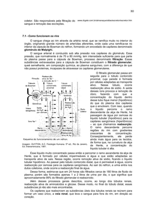 80
coletor. São responsáveis pela filtração do
sangue e remoção das excreções.
www.drgate.com.br/almanaque/atlas/excretor/excretor.htm
7.1 - Como funcionam os rins
O sangue chega ao rim através da artéria renal, que se ramifica muito no interior do
órgão, originando grande número de arteríolas aferentes, onde cada uma ramifica-se no
interior da cápsula de Bowman do néfron, formando um enovelado de capilares denominado
glomérulo de Malpighi.
O sangue arterial é conduzido sob alta pressão nos capilares do glomérulo. Essa
pressão, que normalmente é de 70 a 80 mmHg, tem intensidade suficiente para que parte
do plasma passe para a cápsula de Bowman, processo denominado filtração. Essas
substâncias extravasadas para a cápsula de Bowman constituem o filtrado glomerular,
queé semelhante, em composição química, ao plasma sanguíneo, com a diferença de que
não possui proteínas, incapazes de atravessar os capilares glomerulares.
Imagem: GUYTON, A.C. Fisiologia Humana. 5ª ed., Rio de Janeiro,
Ed. Interamericana, 1981.
O filtrado glomerular passa em
seguida para o túbulo contorcido
proximal, cuja parede é formada
por células adaptadas ao transporte
ativo. Nesse túbulo, ocorre
reabsorção ativa de sódio. A saída
desses íons provoca a remoção de
cloro, fazendo com que a
concentração do líquido dentro
desse tubo fique menor (hipotônico)
do que do plasma dos capilares
que o envolvem. Com isso, quando
o líquido percorre o ramo
descendente da alça de Henle, há
passagem de água por osmose do
líquido tubular (hipotônico) para os
capilares sangüíneos (hipertônicos)
– ao que chamamos reabsorção.
O ramo descendente percorre
regiões do rim com gradientes
crescentes de concentração.
Conseqüentemente, ele perde
ainda mais água para os tecidos,
de forma que, na curvatura da alça
de Henle, a concentração do
líquido tubular é alta.
Esse líquido muito concentrado passa então a percorrer o ramo ascendente da alça de
Henle, que é formado por células impermeáveis à água e que estão adaptadas ao
transporte ativo de sais. Nessa região, ocorre remoção ativa de sódio, ficando o líquido
tubular hipotônico. Ao passar pelo túbulo contorcido distal, que é permeável à água, ocorre
reabsorção por osmose para os capilares sangüíneos. Ao sair do néfron, a urina entra nos
dutos coletores, onde ocorre a reabsorção final de água.
Dessa forma, estima-se que em 24 horas são filtrados cerca de 180 litros de fluido do
plasma; porém são formados apenas 1 a 2 litros de urina por dia, o que significa que
aproximadamente 99% do filtrado glomerular é reabsorvido.
Além desses processos gerais descritos, ocorre, ao longo dos túbulos renais,
reabsorção ativa de aminoácidos e glicose. Desse modo, no final do túbulo distal, essas
substâncias já não são mais encontradas.
Os capilares que reabsorvem as substâncias úteis dos túbulos renais se reúnem para
formar um vaso único, a veia renal, que leva o sangue para fora do rim, em direção ao
coração.
 