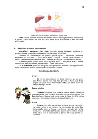 82
Imagem: LOPES, SÔNIA. Bio 2.São Paulo, Ed. Saraiva, 2002.
OBS: Ocorre, também, ao longo dos túbulos renais, reabsorção ativa de aminoácidos
e glicose. Desse modo, no final do túbulo distal essas substâncias já não são mais
encontradas.
7.3 - Regulação da função renal - resumo
HORMÔNIO ANTIDIURÉTICO (ADH): principal agente fisiológico regulador do
equilíbrio hídrico, produzido no hipotálamo e armazenado na hipófise.
Aumento na concentração do plasma (pouca água)  receptores osmóticos
localizados no hipotálamo  produção de ADH  sangue  túbulos distal e coletor do
néfron células mais permeáveis à água  reabsorção de água  urina mais concentrada.
Concentração do plasma baixa (muita água) e álcool  inibição de ADH  menor
absorção de água nos túbulos distal e coletor  urina mais diluída.
ALDOSTERONA: produzida nas glândulas supra-renais, aumenta a absorção ativa de
sódio e a secreção ativa de potássio nos túbulos distal e coletor.
A ELIMINAÇÃO DE URINA
Ureter
Os néfrons desembocam em dutos coletores, que se unem
para formar canais cada vez mais grossos. A fusão dos dutos
origina um canal único, denominado ureter, que deixa o rim em
direção à bexiga urinária.
Bexiga urinária
A bexiga urinária é uma bolsa de parede elástica, dotada de
musculatura lisa, cuja função é acumular a urina produzida nos rins.
Quando cheia, a bexiga pode conter mais de ¼ de litro (250 ml) de
urina, que é eliminada periodicamente através da uretra.
Uretra
A uretra é um tubo que parte da bexiga e termina, na mulher,
na região vulvar e, no homem, na extremidade do pênis. Sua
comunicação com a bexiga mantém-se fechada por anéis
musculares - chamados esfíncteres. Quando a musculatura desses
anéis relaxa-se e a musculatura da parede da bexiga contrai-se,
urinamos.
 