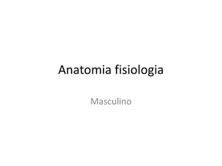 Anatomia fisiologia
Masculino
 