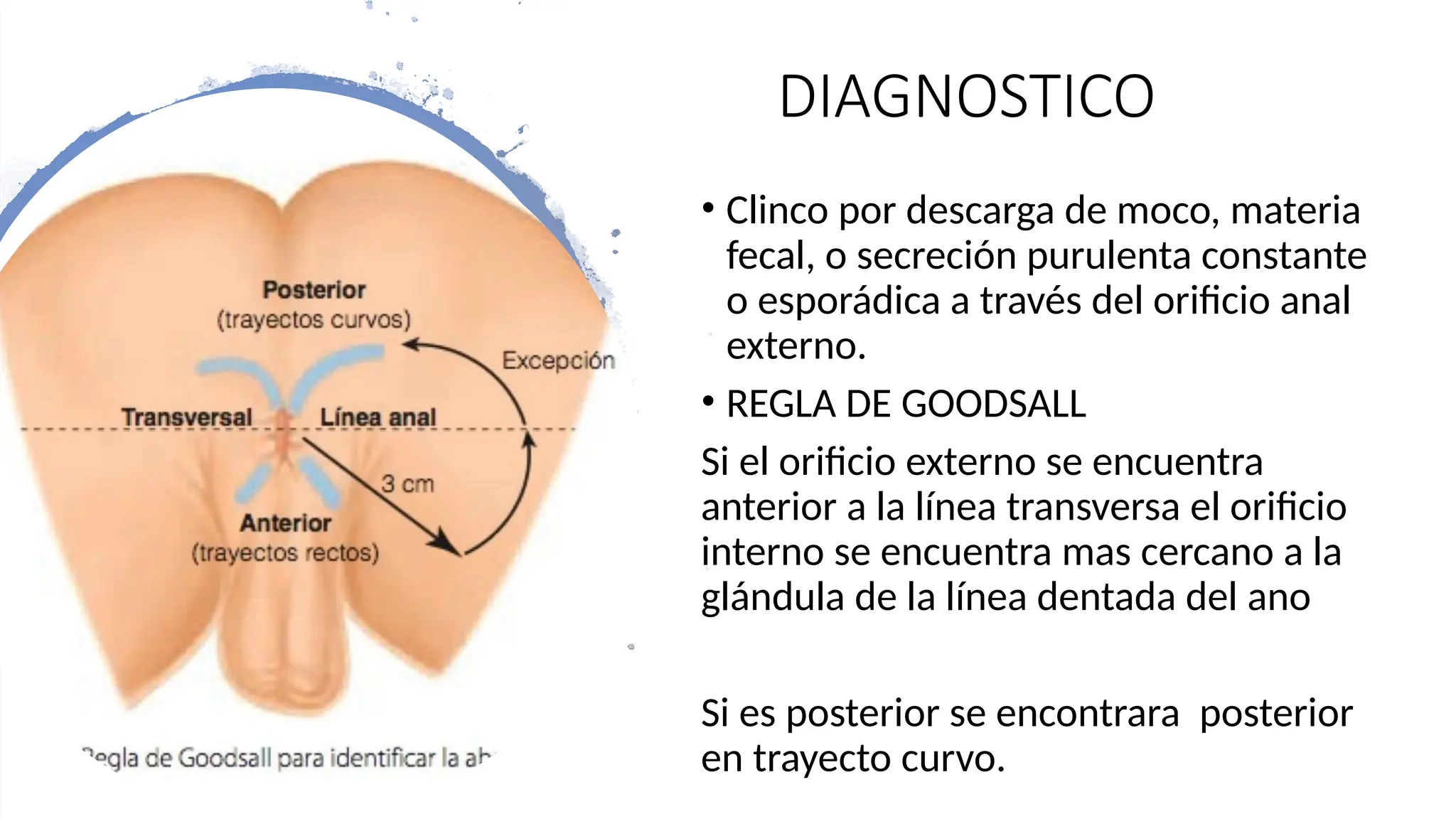 ANATOMIA, FISIOLOGIA DE RECTO Y ANO.pptx