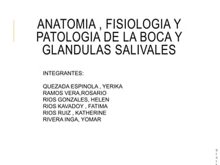 ANATOMIA , FISIOLOGIA Y
PATOLOGIA DE LA BOCA Y
GLANDULAS SALIVALES
7/
1
1/
1
INTEGRANTES:
QUEZADA ESPINOLA , YERIKA
RAMOS VERA,ROSARIO
RIOS GONZALES, HELEN
RIOS KAVADOY , FATIMA
RIOS RUIZ , KATHERINE
RIVERA INGA, YOMAR
 