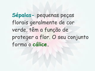 Sépalas-   pequenas peças florais geralmente de cor verde, têm a função de proteger a flor. O seu conjunto forma o  cálice . 