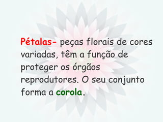 Pétalas-  peças florais de cores variadas, têm a função de proteger os órgãos reprodutores. O seu conjunto forma a  corola . 