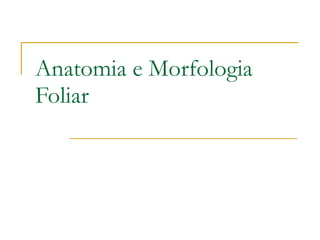 Anatomia e Morfologia Foliar 