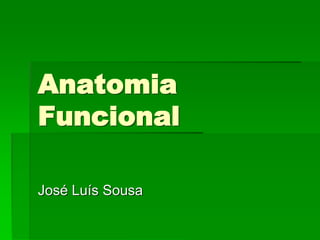 Anatomia
Funcional
José Luís Sousa
 