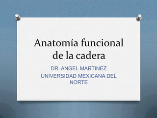 Anatomía funcional
   de la cadera
    DR. ANGEL MARTINEZ
 UNIVERSIDAD MEXICANA DEL
          NORTE
 