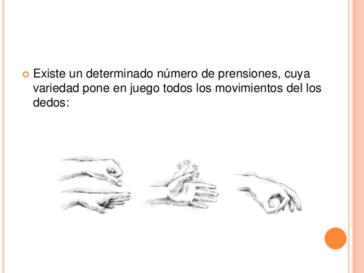 equipo 3 tema 3 Anatomia funcional de la mano sobre el antebrazo