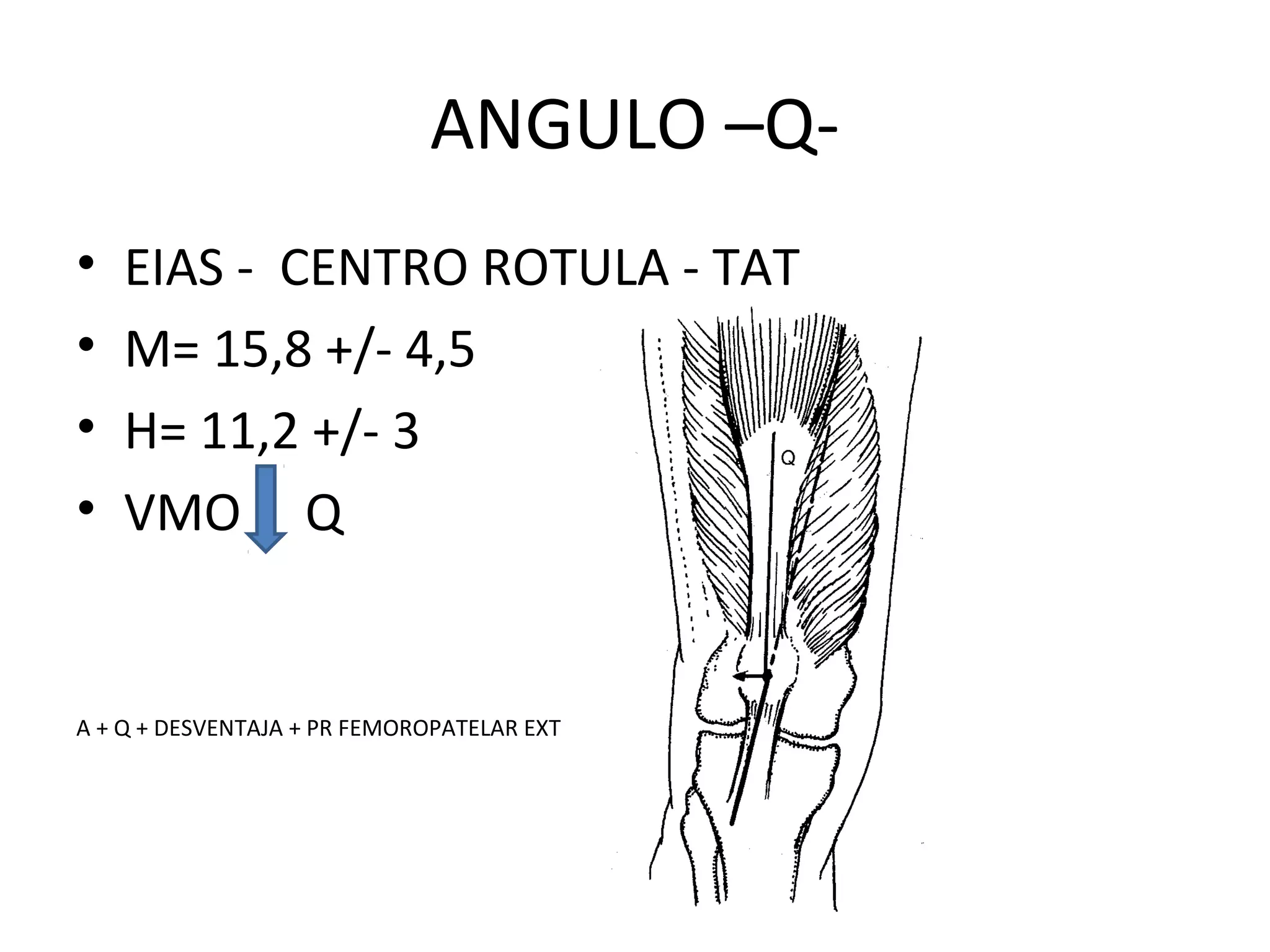 Anatomia funcional de la rodilla | PPT