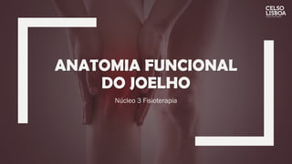 ANATOMIA FUNCIONAL
DO JOELHO
Núcleo 3 Fisioterapia
 