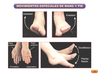 16
MOVIMIENTOS ESPECIALES DE MANO Y PIE
 