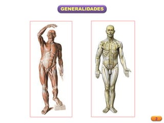 2
GENERALIDADES
 
