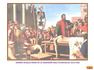 4
ANDRÉS VESALIO PADRE DE LA ANATOMÍA NACE EN BRUSELAS 1514-1564
 